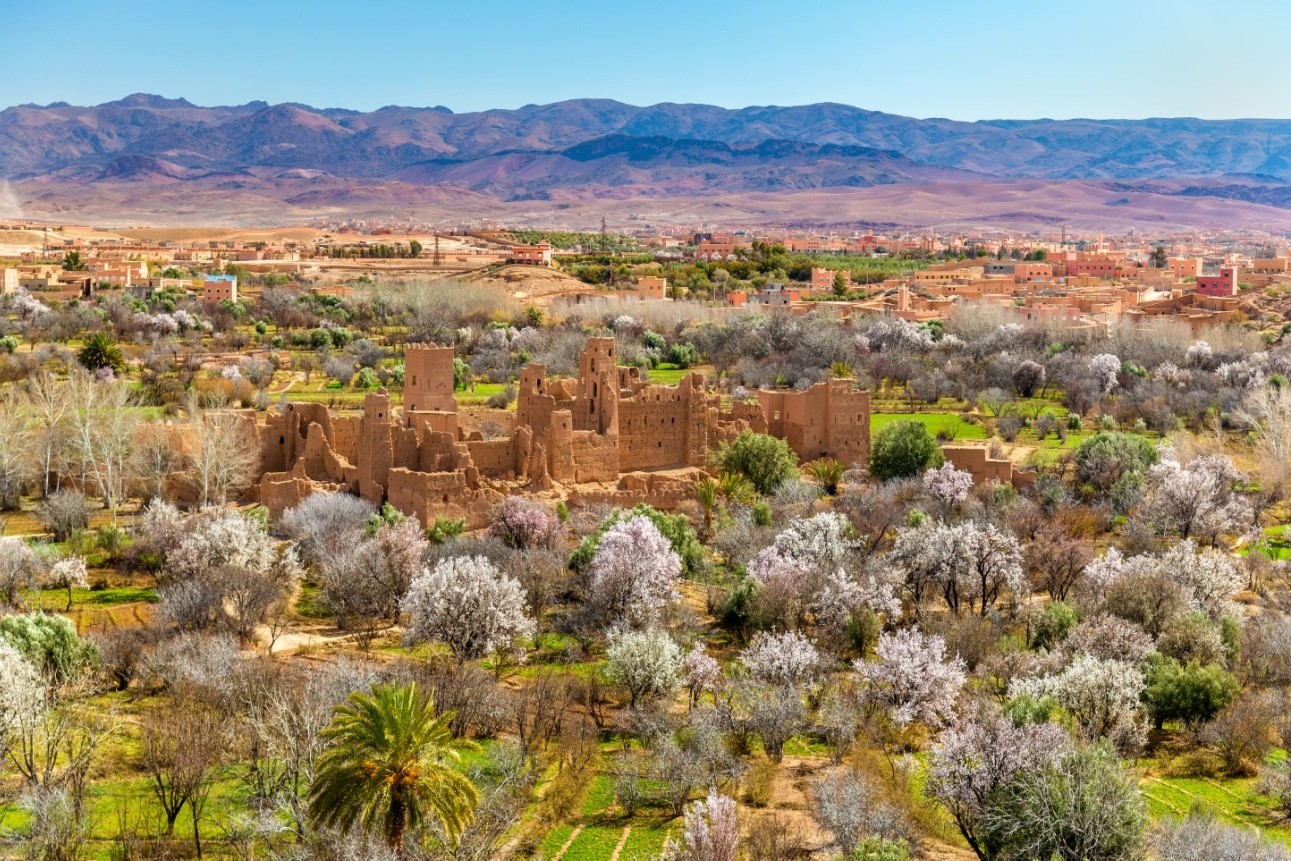 Ruins of a Kasbah in the Valley of Roses, Morocco