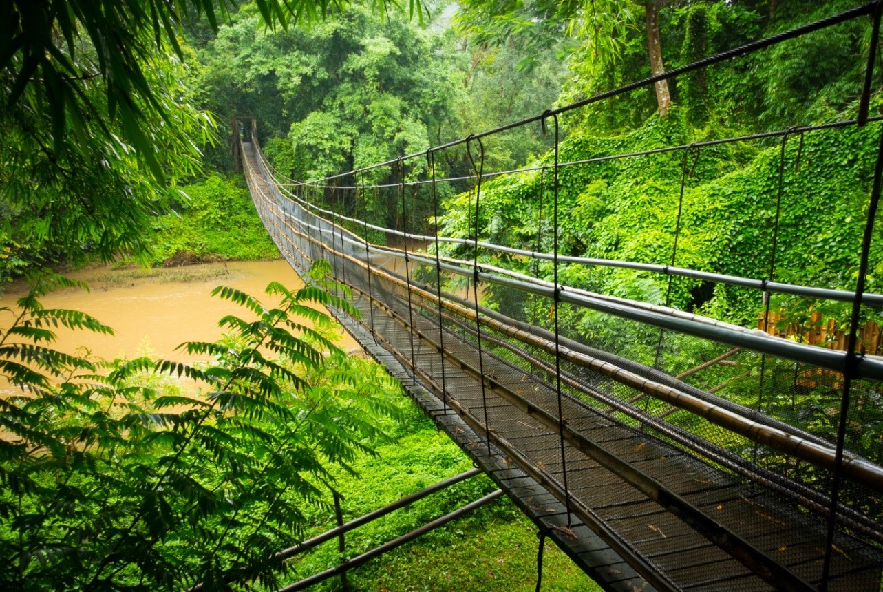 Suspension bridge in the jungle near Chiang Mai