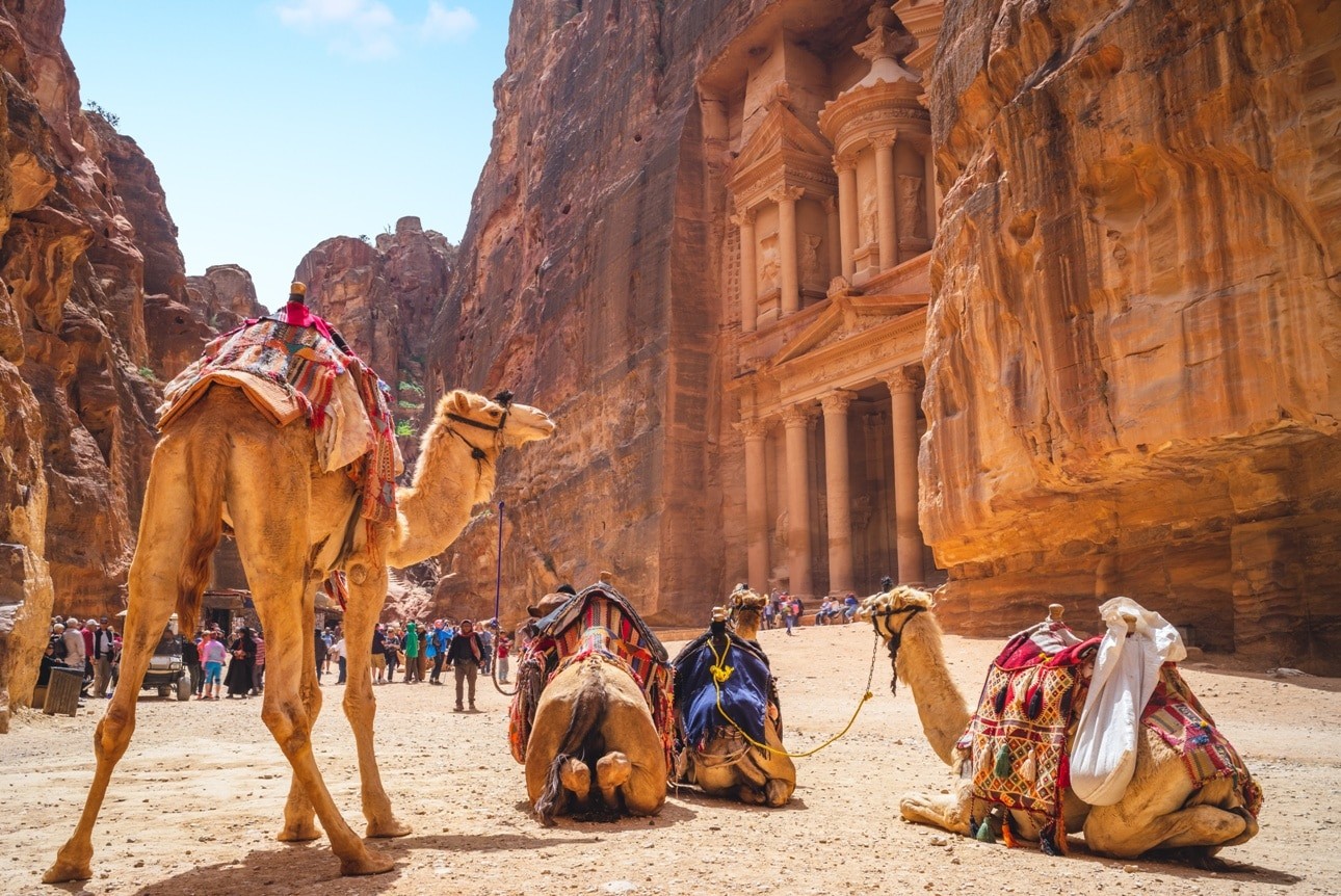 Petra Al Khazneh (The Treasury) with Camels in Jordan