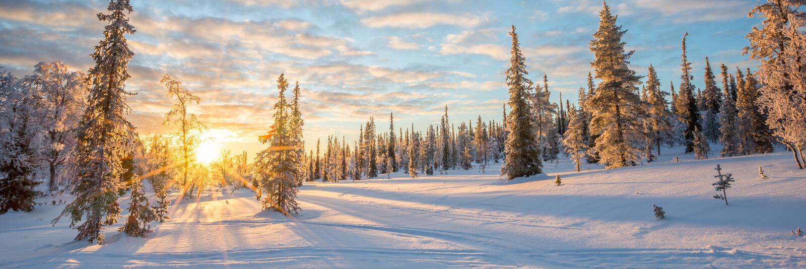 Paysages en Laponie Neige et soleil