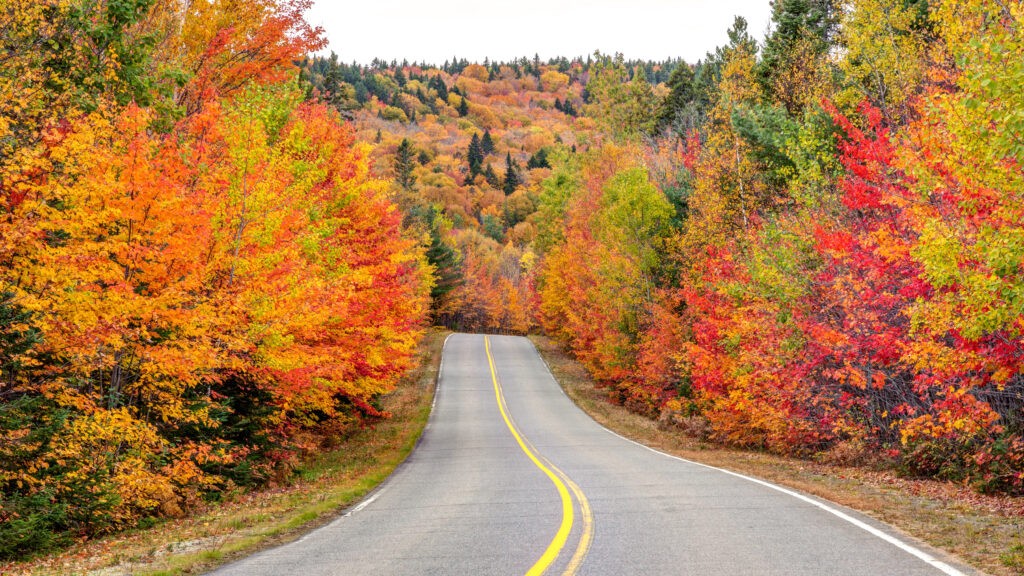 Autumn drive in the Mountains of La Mauricie National Park