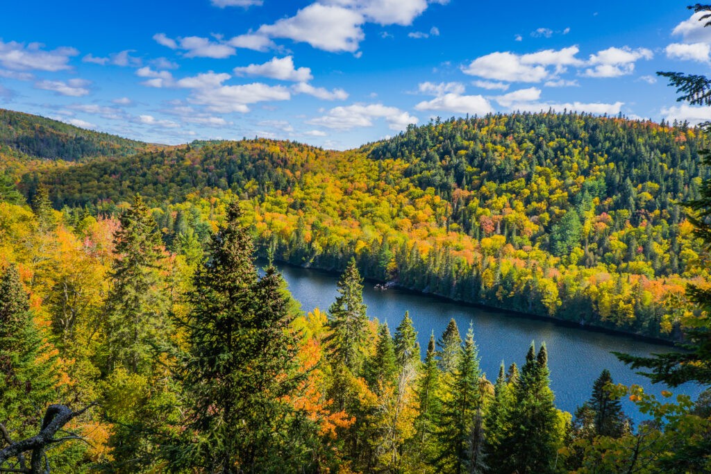 View on the Wapizagonke lake in Mauricie National Park (Quebec,